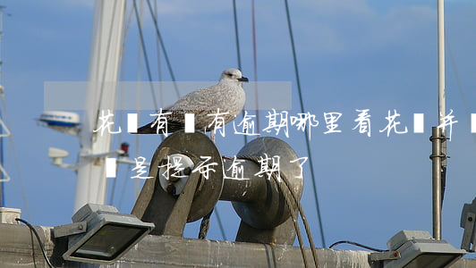 花唄有沒有逾期哪里看(花唄并沒有逾期怎么還是提示逾期了)