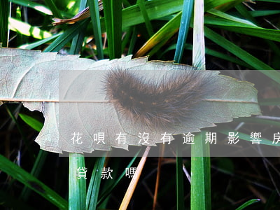 花唄有沒有逾期影響房貸(借唄逾期影響買房貸款嗎?)