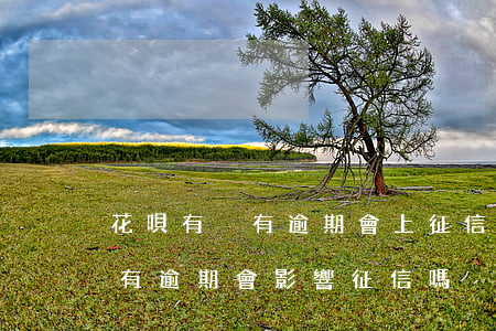 花唄有沒有逾期會上征信(花唄有欠款但是沒有逾期會影響征信嗎)