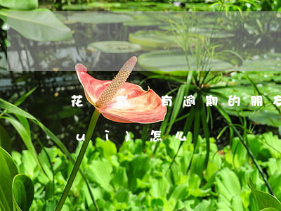 花唄有沒有逾期的朋友(欠了花唄逾期會(huì)怎么樣)