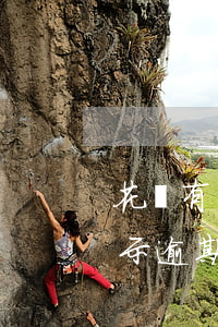 花唄有產(chǎn)品逾期怎么查(花唄顯示逾期不知道什么逾期了怎么處理)