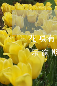 花唄有產(chǎn)品逾期怎么辦(花唄顯示逾期,花唄無法使用了,怎么還款)