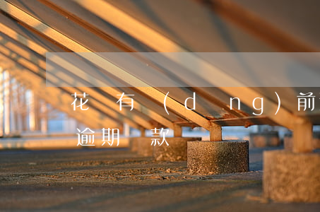 花唄有當(dāng)前逾期的口子(花唄不逾期 貸款)