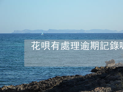 花唄有處理逾期記錄嘛