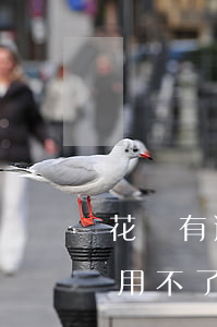 花唄有逾期了怎么辦呢(花唄逾期有額度但是用不了,怎么解除)