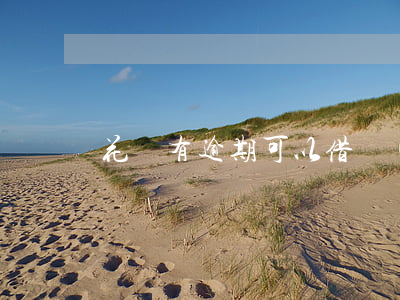 花唄有逾期可以借網(wǎng)貸嗎