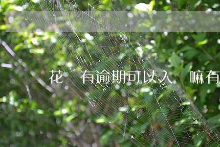花唄有逾期可以入黨嘛(有逾期能入黨嗎) 花唄有逾期可以入黨嘛(有逾期能入黨嗎)