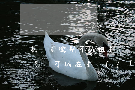 花唄有逾期可以租手機(jī)嗎(花唄逾期了還可以在手機(jī)店里分期買手機(jī)嗎)