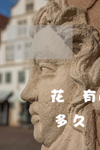 花唄有逾期多久會(huì)起訴(花唄逾期多久會(huì)被起訴,金額達(dá)到多少?)