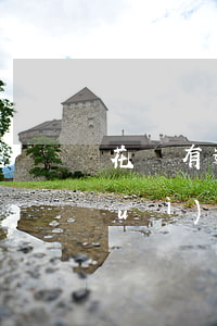花唄有逾期影響上高速嗎(花唄逾期了會(huì)影響辦信用卡嗎)