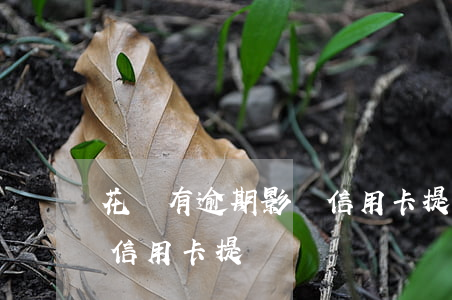 花唄有逾期影響信用卡提額嗎-用花唄影響信用卡提額嗎