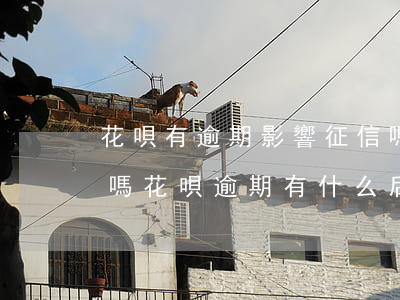 花唄有逾期影響征信嗎(花唄逾期上央行征信嗎?花唄逾期有什么后果)