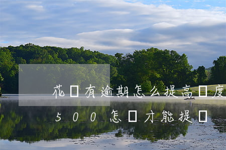 花唄有逾期怎么提高額度(花唄逾期額度降到500怎樣才能提額)