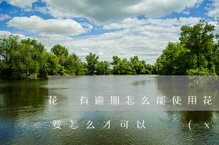 花唄有逾期怎么能使用 花唄逾期后不能使用要怎么才可以繼續(xù)使用