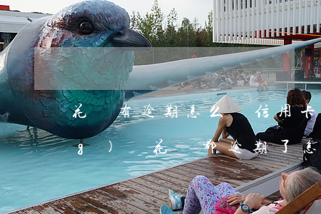 花唄有逾期怎么辦信用卡(信用卡網(wǎng)貸花唄都逾期了怎么辦)