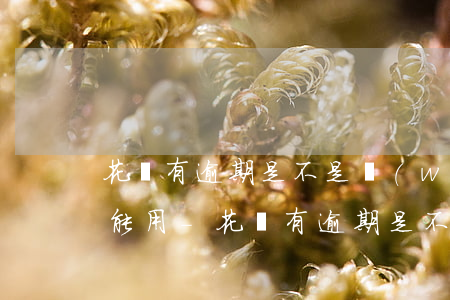 花唄有逾期是不是網(wǎng)商貸也不能用-花唄有逾期是不是網(wǎng)商貸也不能用了呢
