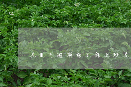 花唄有逾期能不能上班(花唄超期不還怎么樣)