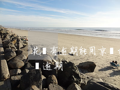 花唄有逾期能用京東白條嗎（花唄借唄京東白條逾期）