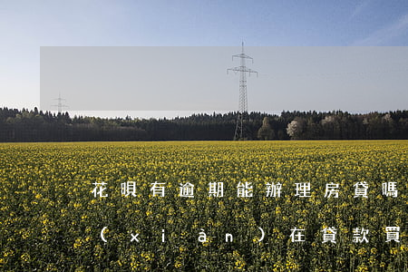 花唄有逾期能辦理房貸嗎(花唄逾期還完了現(xiàn)在貸款買房子可以用嗎?)