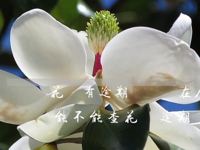 花唄有逾期記錄會在人行征信報告中嗎（央行能不能查花唄逾期）