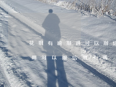 花唄有逾期過可以辦信用卡嗎（花唄逾期不能用可以辦信用卡嗎）