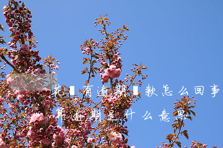 花唄有逾期還款怎么回事(花唄逾期還款后不算逾期是什么意思?)