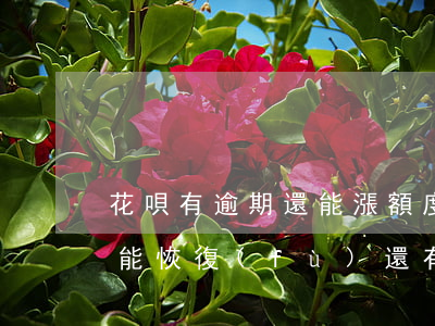 花唄有逾期還能漲額度嘛(花唄逾期降額多久能恢復(fù)還有機(jī)會(huì)用嗎)