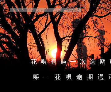 花唄有過一次逾期可以辦儲(chǔ)蓄卡嘛-花唄逾期過可以辦理信用卡嗎
