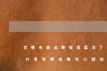 花唄有過逾期但是還清了捷信還能下款嗎（支付寶花唄逾期可以捷信分期）