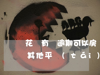 花唄有過逾期可以房貸嗎(是不是花唄逾期了其他平臺(tái)也貸不了款)