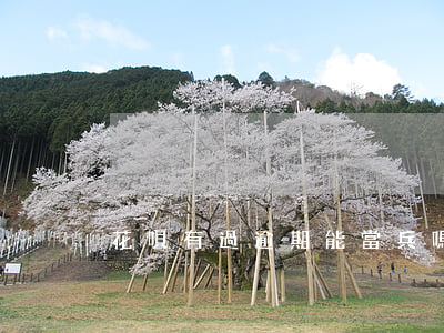 花唄有過逾期能當兵嗎