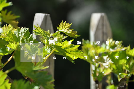 花唄有過逾期過但是已經(jīng)關(guān)了(花唄不小心逾期了2天會(huì)不會(huì)被關(guān)閉)