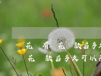 花唄有錢花還款后多久可以再用-花唄有錢花還款后多久可以再用啊