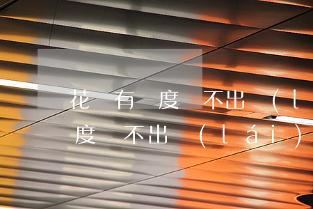 花唄有額度掃不出來(lái)錢(花唄有額度掃不出來(lái)錢怎么回事)
