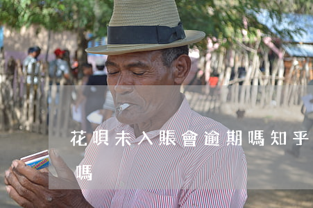 花唄 未入賬會逾期嗎知乎（花唄 未入賬會逾期嗎）