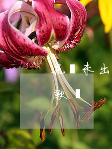 花唄未出賬單算逾期么(花唄沒出賬單可以還款嗎)