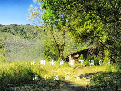 花唄未逾期下調(diào)金額(花唄按時還不漲額度)