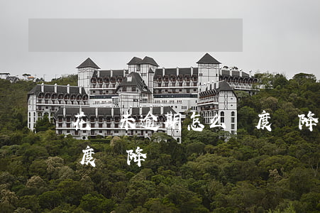 花唄未逾期怎么額度還降(花唄未逾期怎么額度還降)