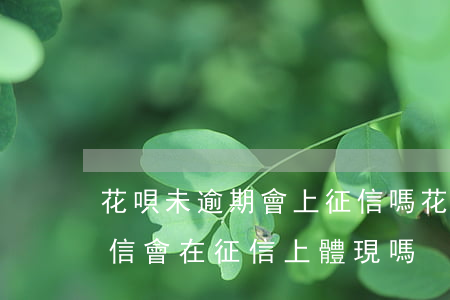 花唄未逾期會上征信嗎(花唄借唄沒有逾期征信會在征信上體現嗎)