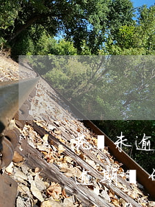 花唄未逾期為什么每個月都有電話-花唄未逾期為什么每個月都有電話通知