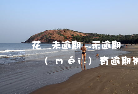 花唄未逾期顯示逾期凍結(jié)(我花唄沒(méi)有逾期,被凍結(jié)了是什么情況)