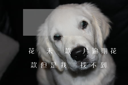 花唄未還款圖片逾期(花唄顯示我有逾期未還款,但是我卻找不到?)