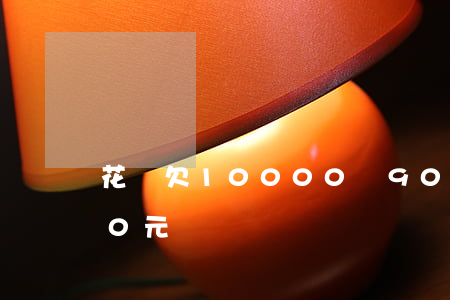 花唄欠10000還9000(花唄10000元沒還)