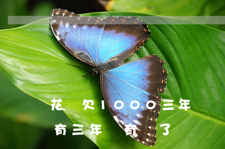 花唄欠1000三年沒還(1000塊錢花唄有三年沒有還了)