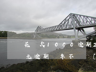 花唄欠1000逾期2年(花唄欠款1000元逾期兩年不還會(huì)怎樣?)