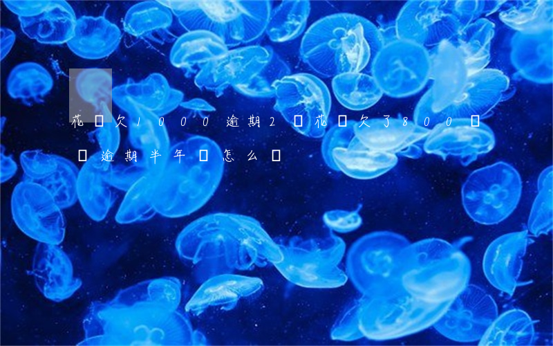 花唄欠1000逾期2萬(花唄欠了800塊錢,逾期半年會怎么樣?)