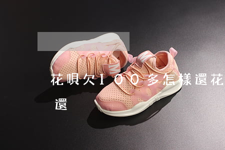 花唄欠100多怎樣還(花唄欠100多怎樣還)