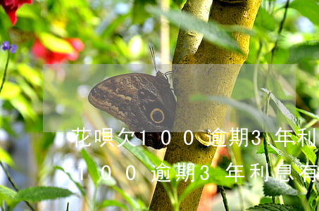 花唄欠100逾期3年利息有多少-花唄欠100逾期3年利息有多少錢