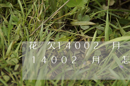 花唄欠14002個月沒還怎么樣-花唄欠14002個月沒還怎么樣才能還