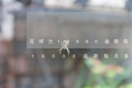 花唄欠16000逾期每天多少錢-花唄欠16000逾期每天多少錢利息